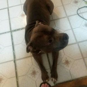 Meet your Posher, Joe